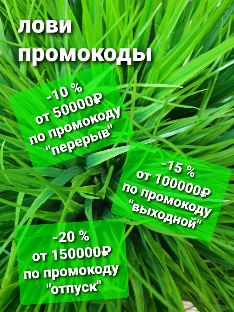 PROMO.jpg